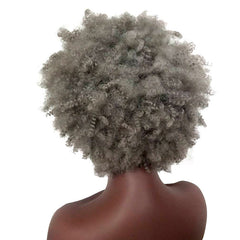 Short curly hair gray explosive head wig