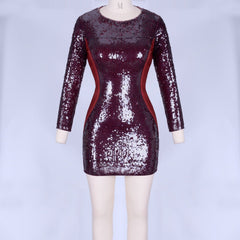 Rundhalsausschnitt Langarm Mesh Mini Bodycon Kleid HI998