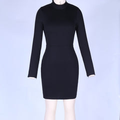 Rundhalsausschnitt Langarm Rückenfreies Mini Bodycon Kleid HI984