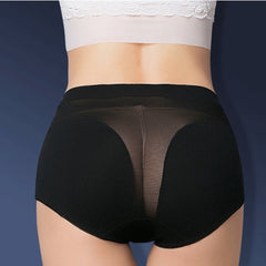 Sheer Mesh Insert Panty