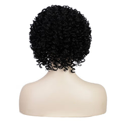 Women's short curly kinky wig