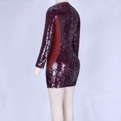 Rundhalsausschnitt Langarm Mesh Mini Bodycon Kleid HI998