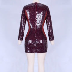 Rundhalsausschnitt Langarm Mesh Mini Bodycon Kleid HI998