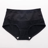 Sheer Mesh Insert Panty