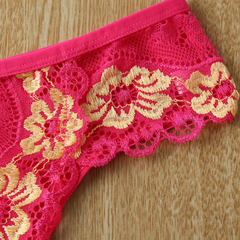 5pack Lace Embroidered Seduction Briefs