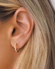 Willow Gold Creolen - Set