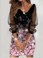 Sheer Mesh Women's Dress