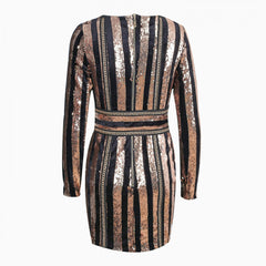 Mini-Bodycon-Kleid mit Rundhalsausschnitt und langen Ärmeln und Pailletten HW238