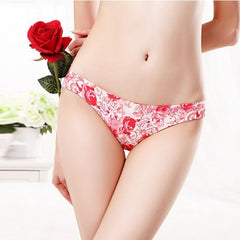 Braguitas de leopardo transparentes de cintura baja