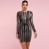 Round Neck Long Sleeve Sequined Mini Bodycon Dress HW238
