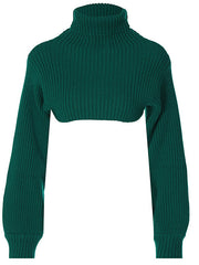 Casual Cropped Long-sleeve Sweater