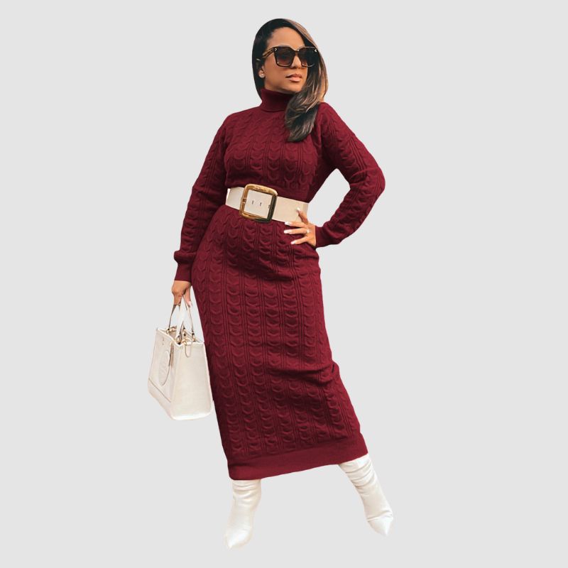 Solid Color Turtleneck Knit Dresses