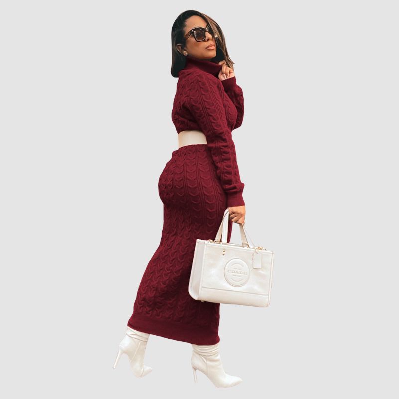 Solid Color Turtleneck Knit Dresses