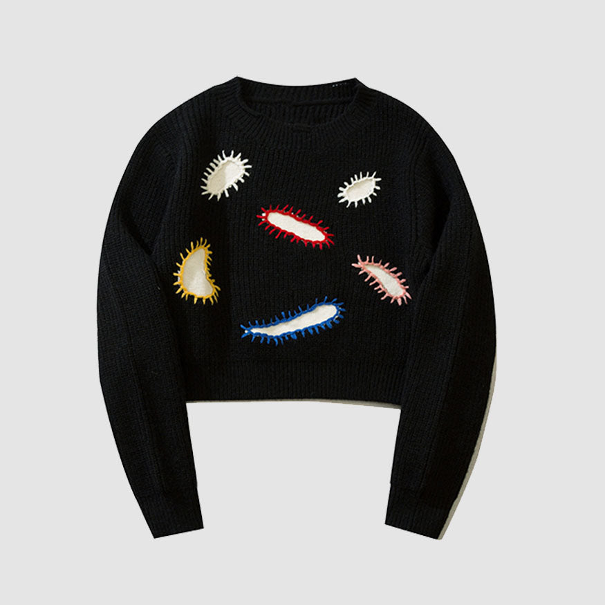 Kurzer Pullover mit Paramecium-Muster-Stickerei