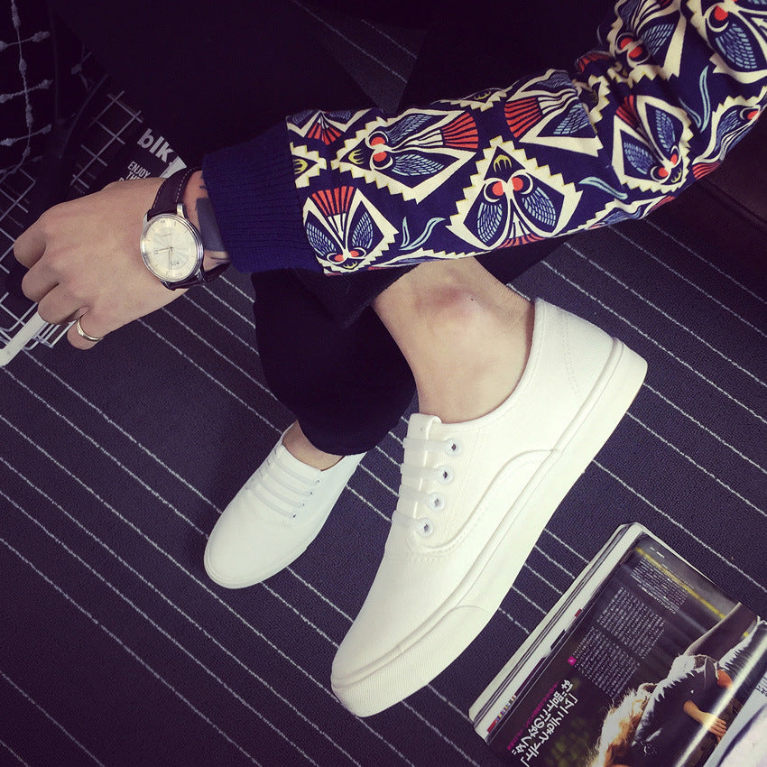 Beautiful Men's Fei Yao White Canvas Shoes