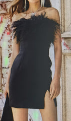 Strapless Feather Mini Dress in Black