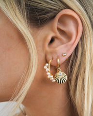 Aros Huggie de concha