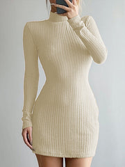 High Neck Long Sleeve Slim Fit Hip Dress