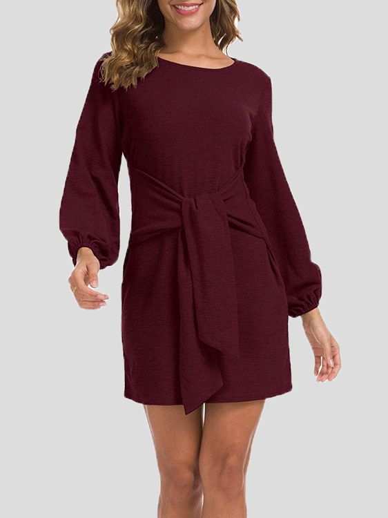 Plain Belted Long Sleeve Mini Dress